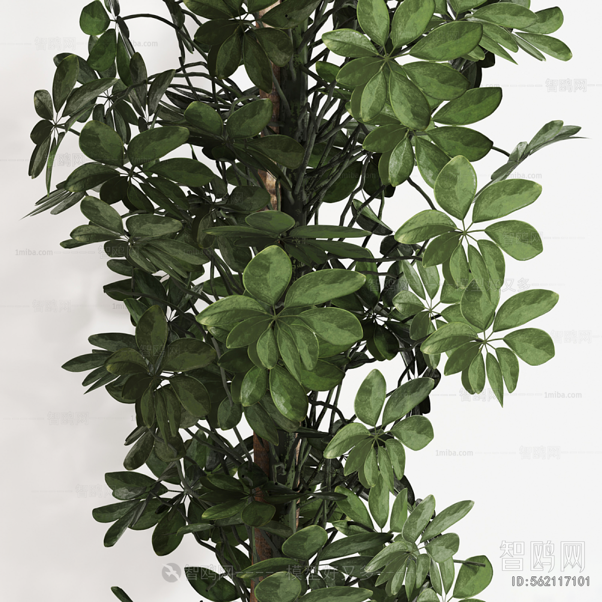 Modern Ground Green Plant Potted Plants