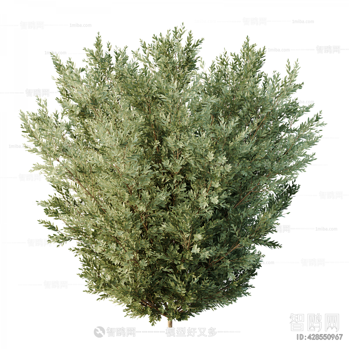 Modern Flower Bed, Flower Bowl, Flower Box