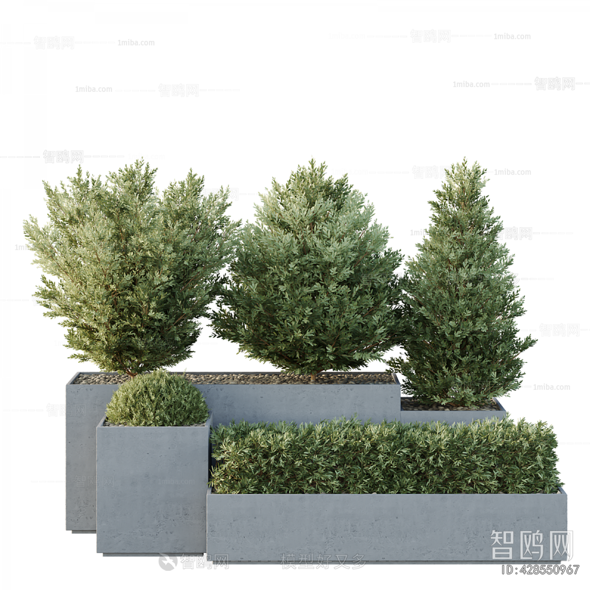 Modern Flower Bed, Flower Bowl, Flower Box