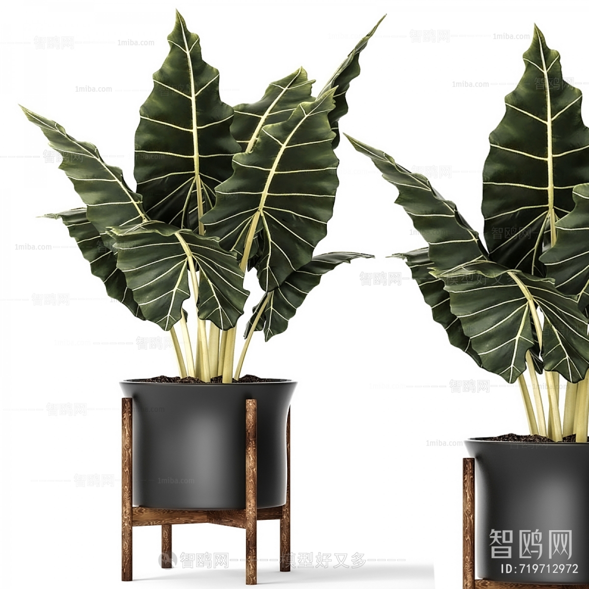 Modern Ground Green Plant Potted Plants