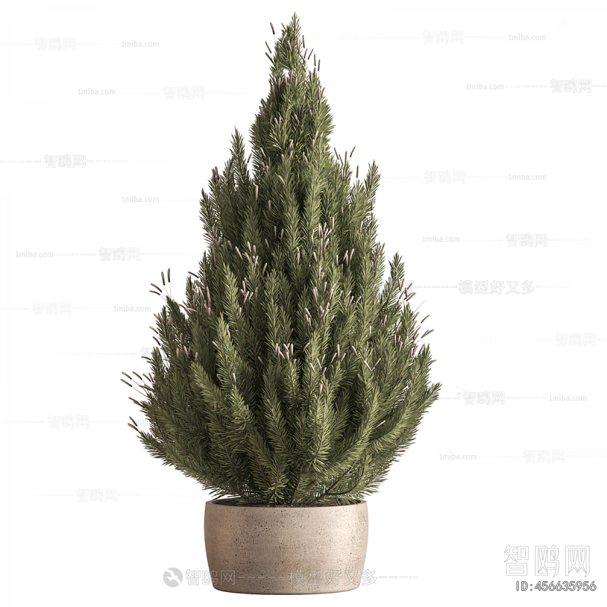 Modern Ground Green Plant Potted Plants