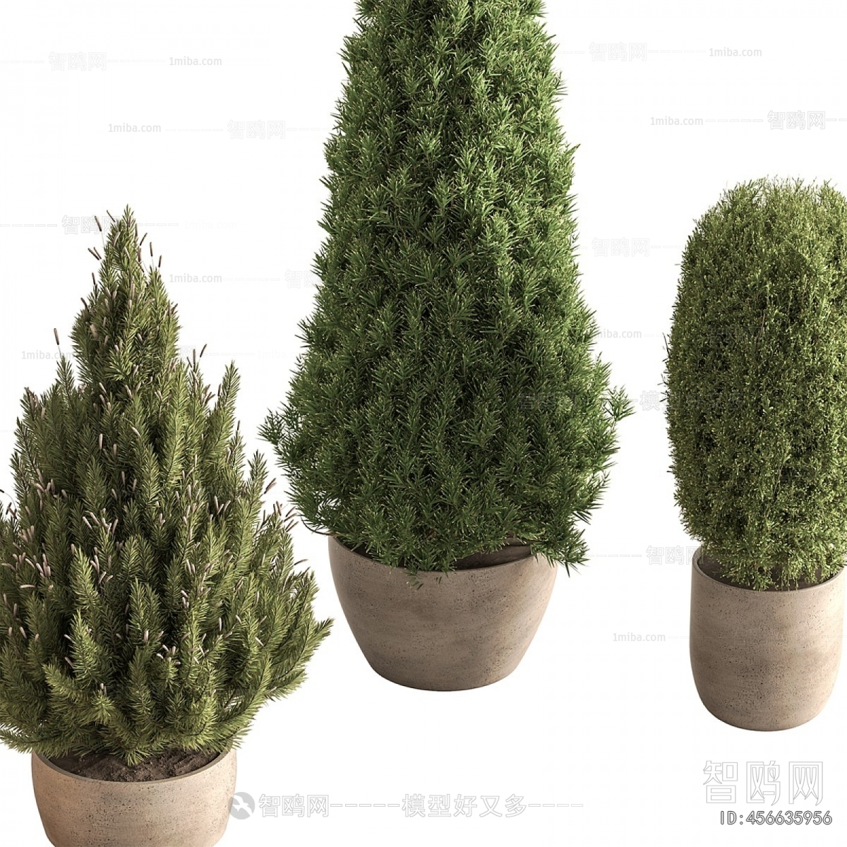 Modern Ground Green Plant Potted Plants