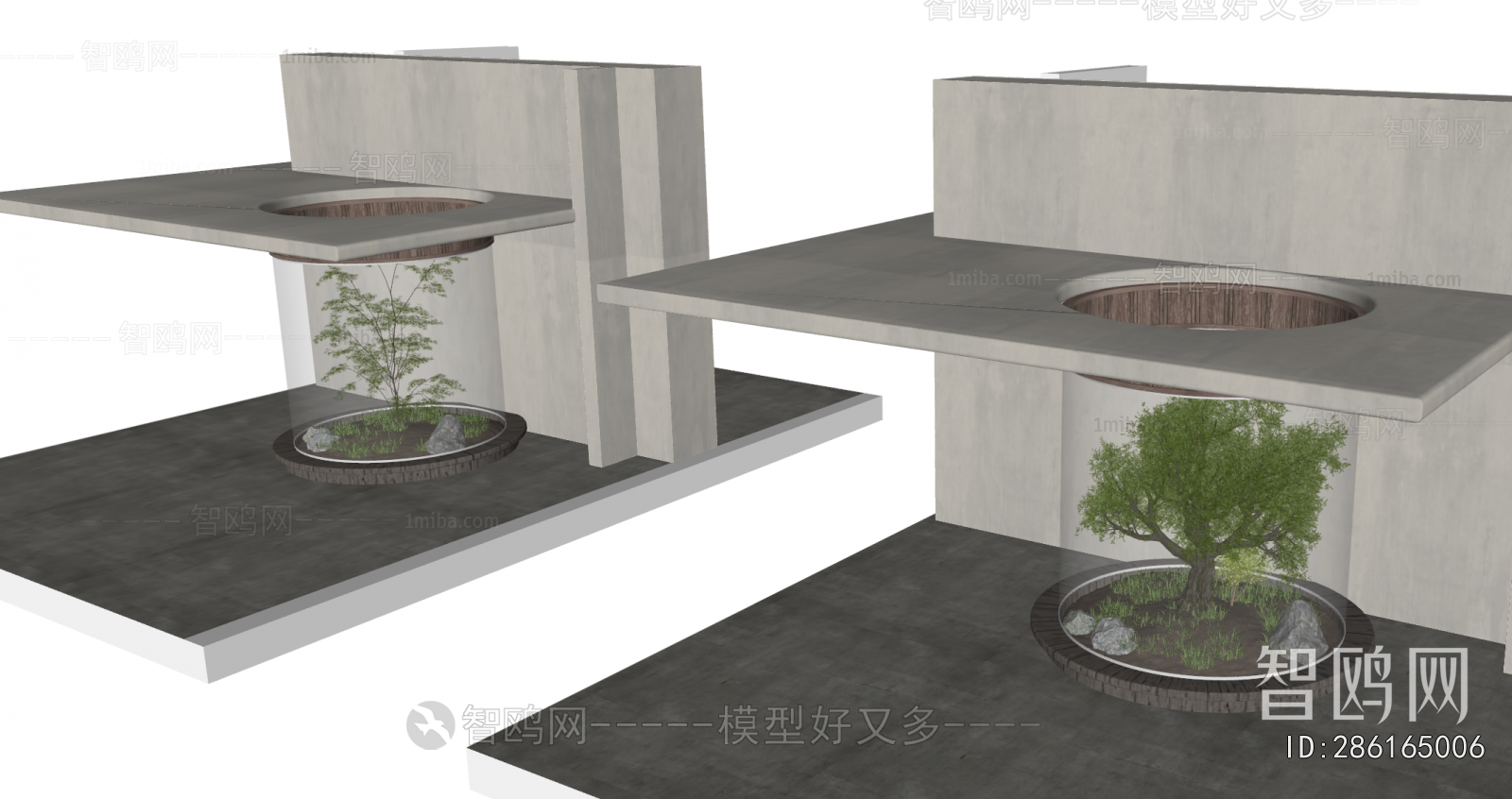 Modern Plant Landscaping