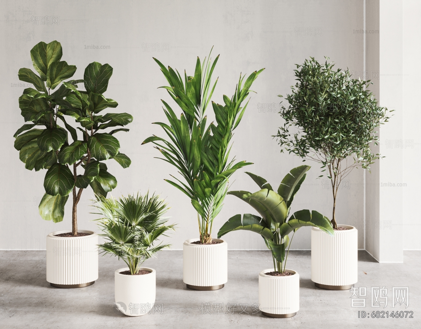 Modern Ground Green Plant Potted Plants