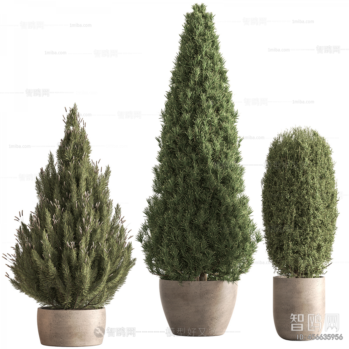 Modern Ground Green Plant Potted Plants