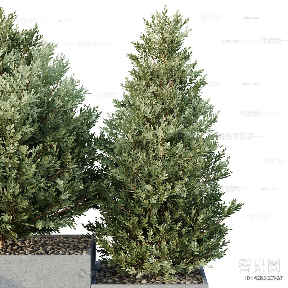 Modern Flower Bed, Flower Bowl, Flower Box