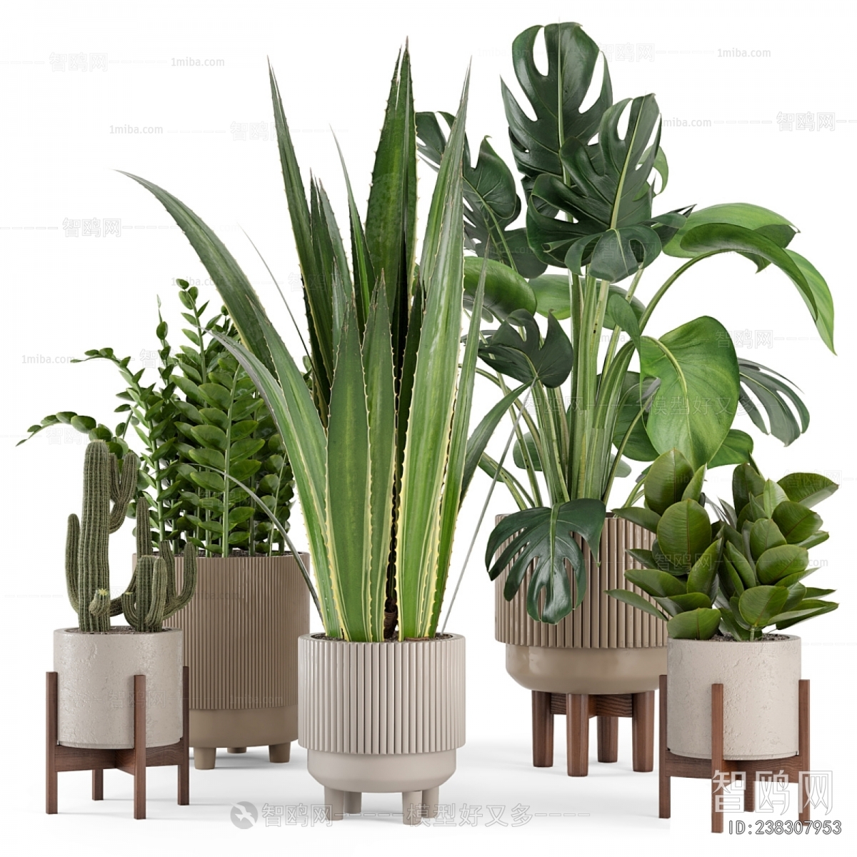 Modern Ground Green Plant Potted Plants