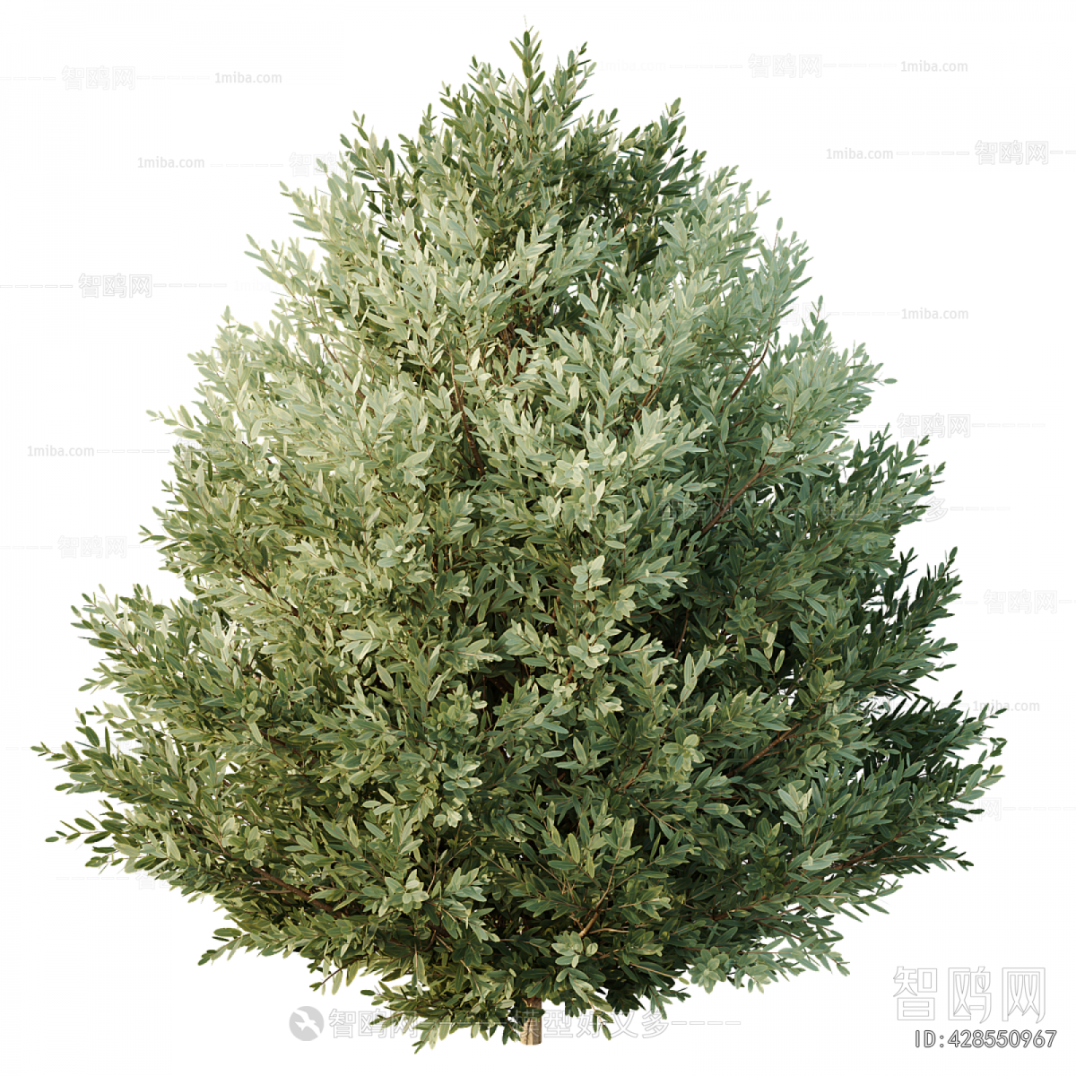 Modern Flower Bed, Flower Bowl, Flower Box