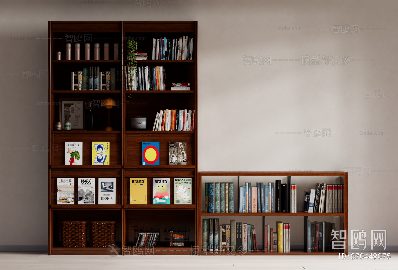 Modern Bookcase