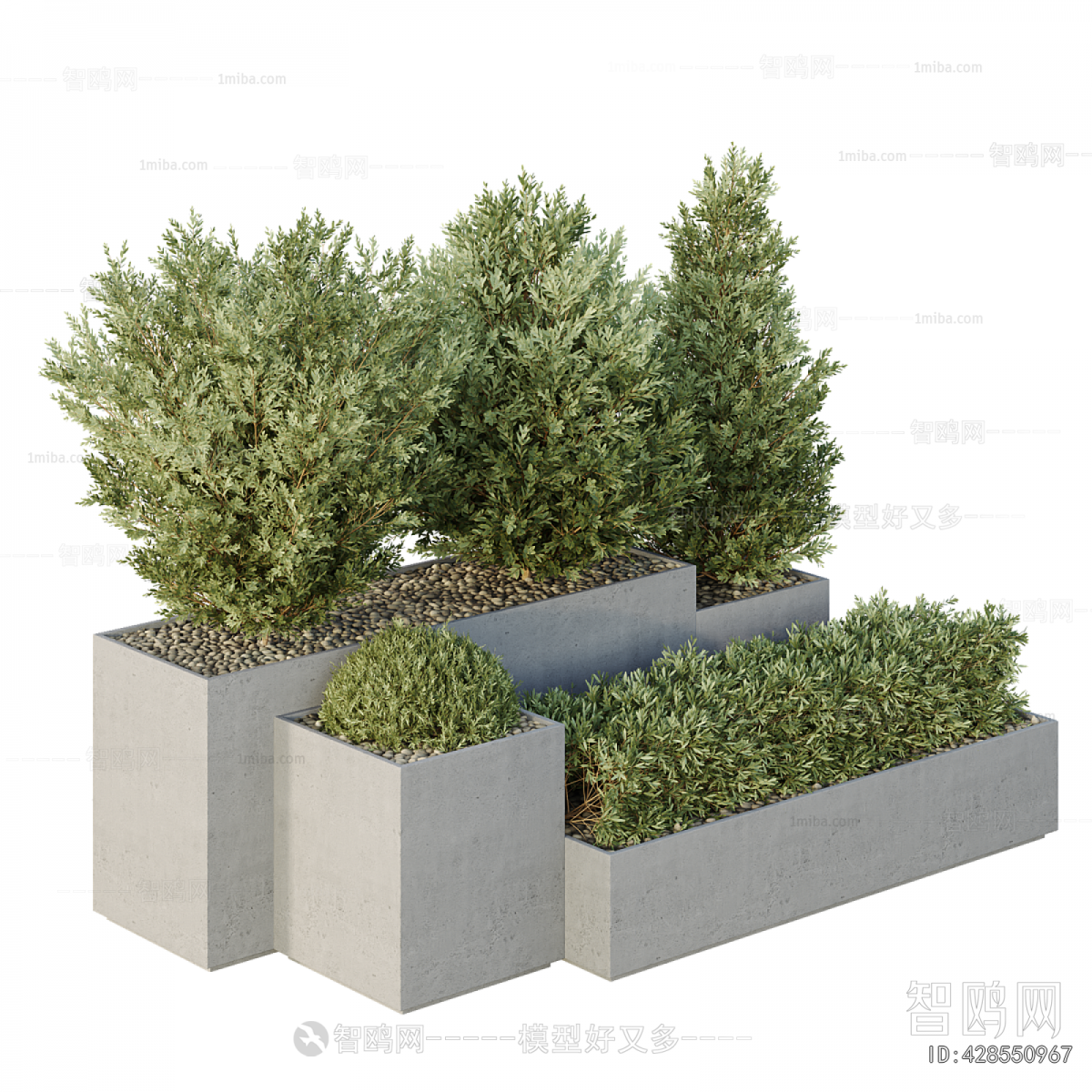 Modern Flower Bed, Flower Bowl, Flower Box