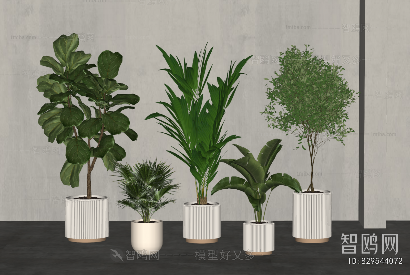Modern Ground Green Plant Potted Plants