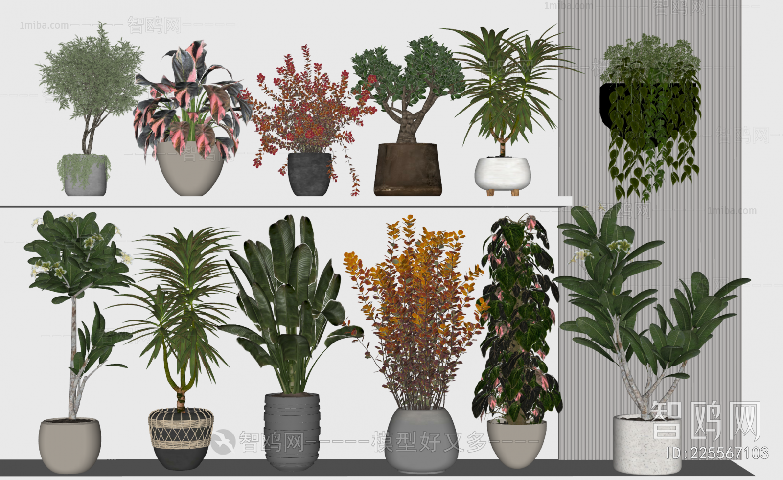 Modern Ground Green Plant Potted Plants