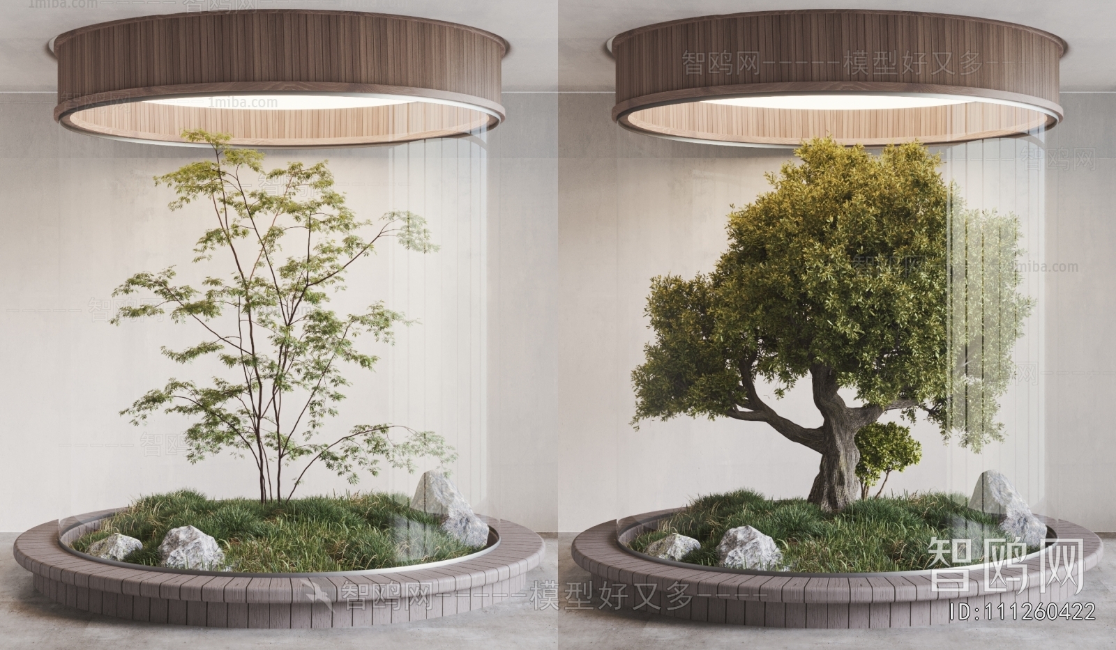 Modern Plant Landscaping