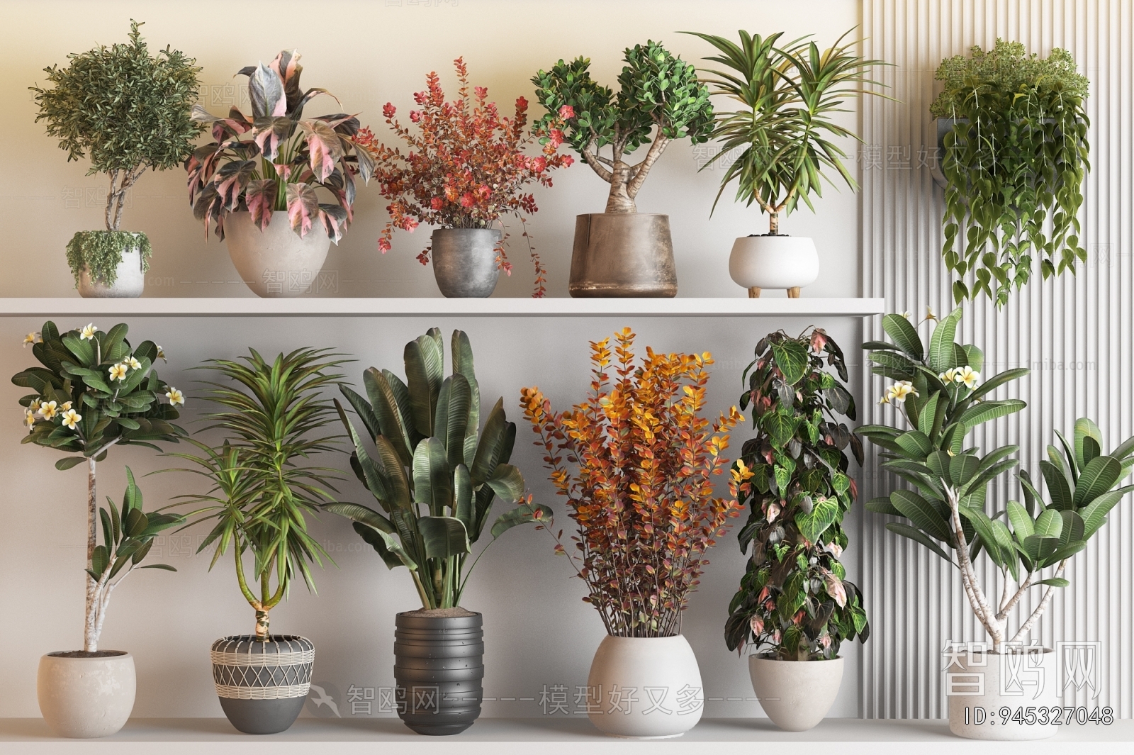 Modern Ground Green Plant Potted Plants