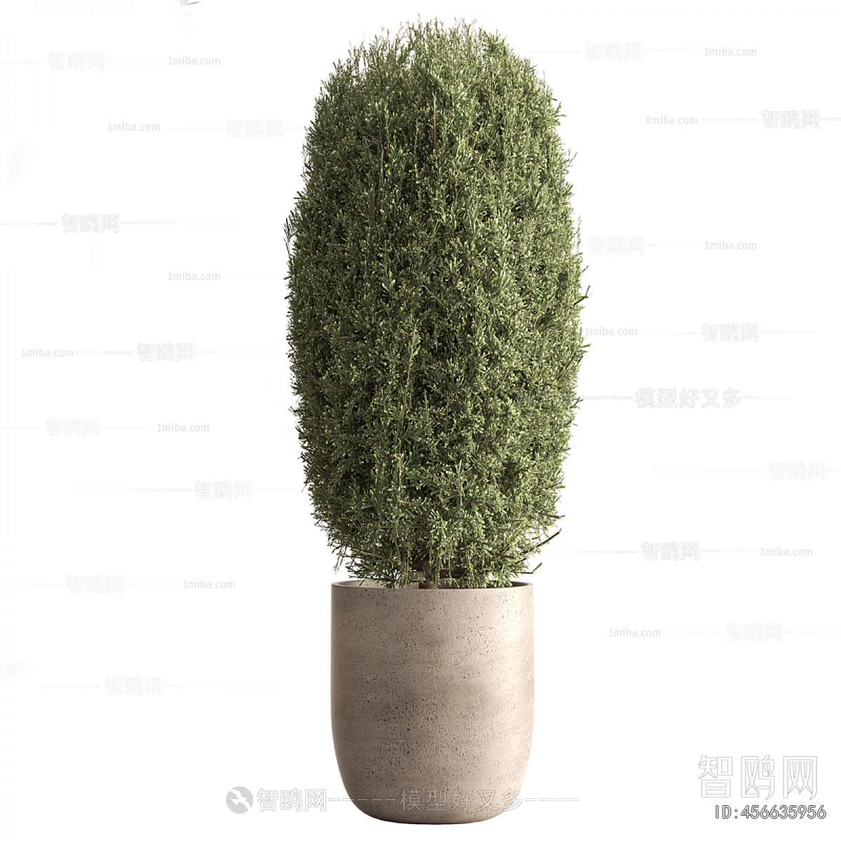Modern Ground Green Plant Potted Plants