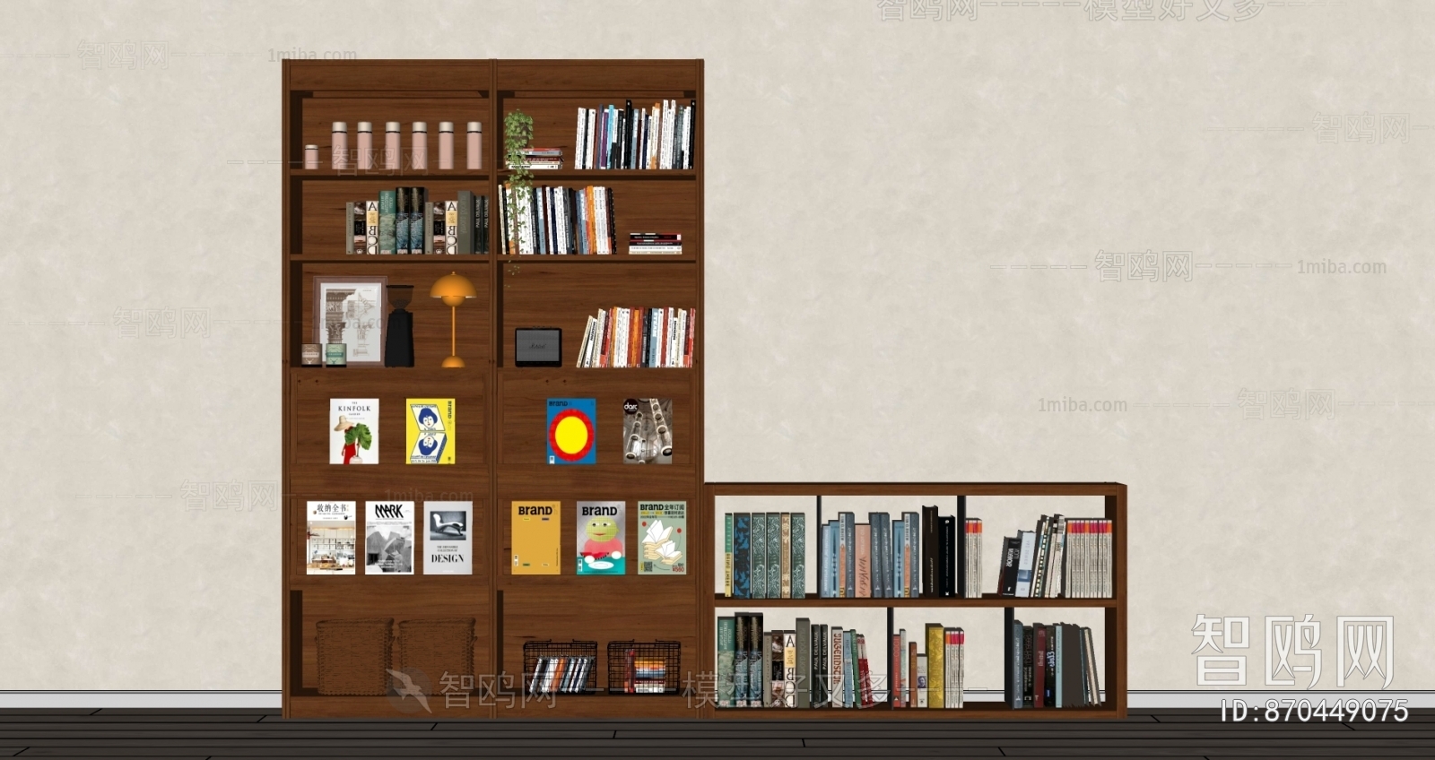 Modern Bookcase