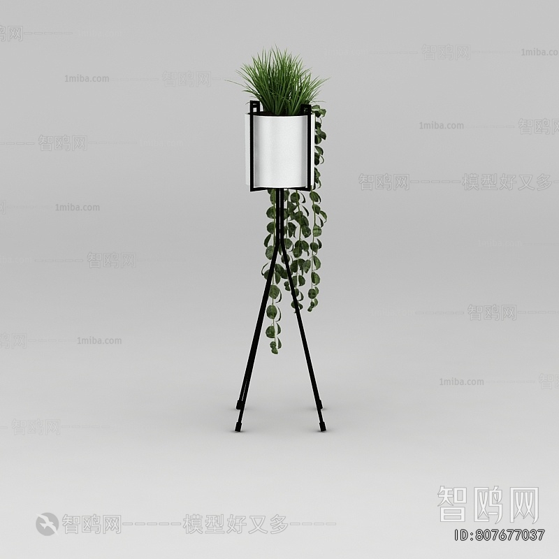 Modern Potted Green Plant