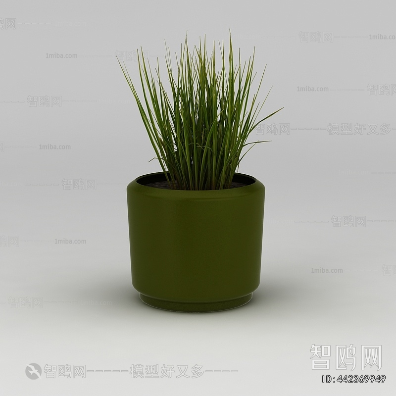 Modern Potted Green Plant