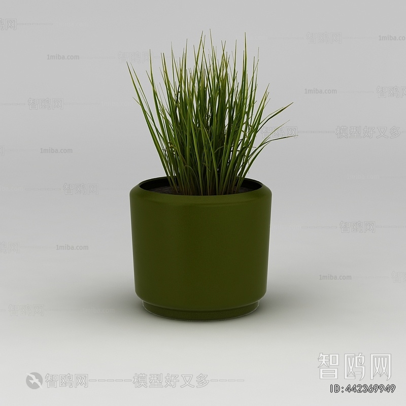 Modern Potted Green Plant
