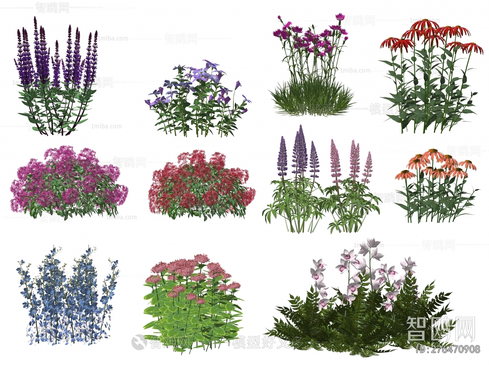 Modern Flowers And Grass