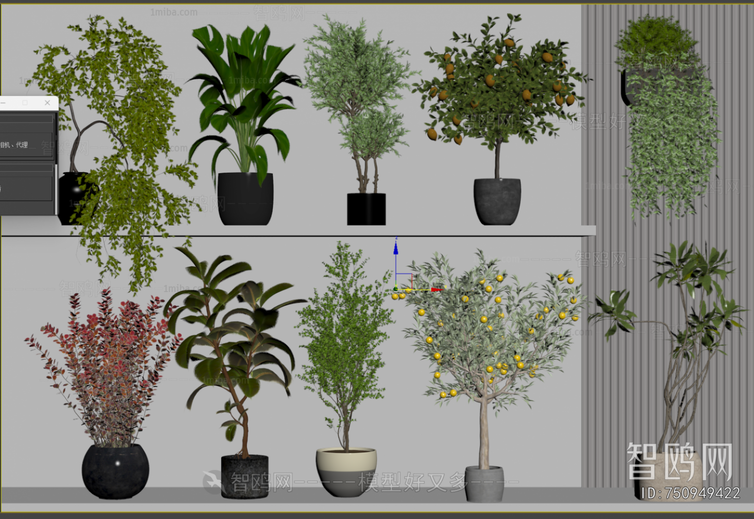 Modern Ground Green Plant Potted Plants