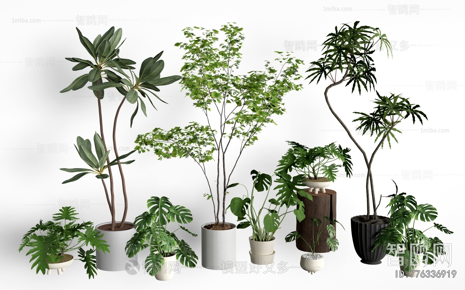 Modern Ground Green Plant Potted Plants