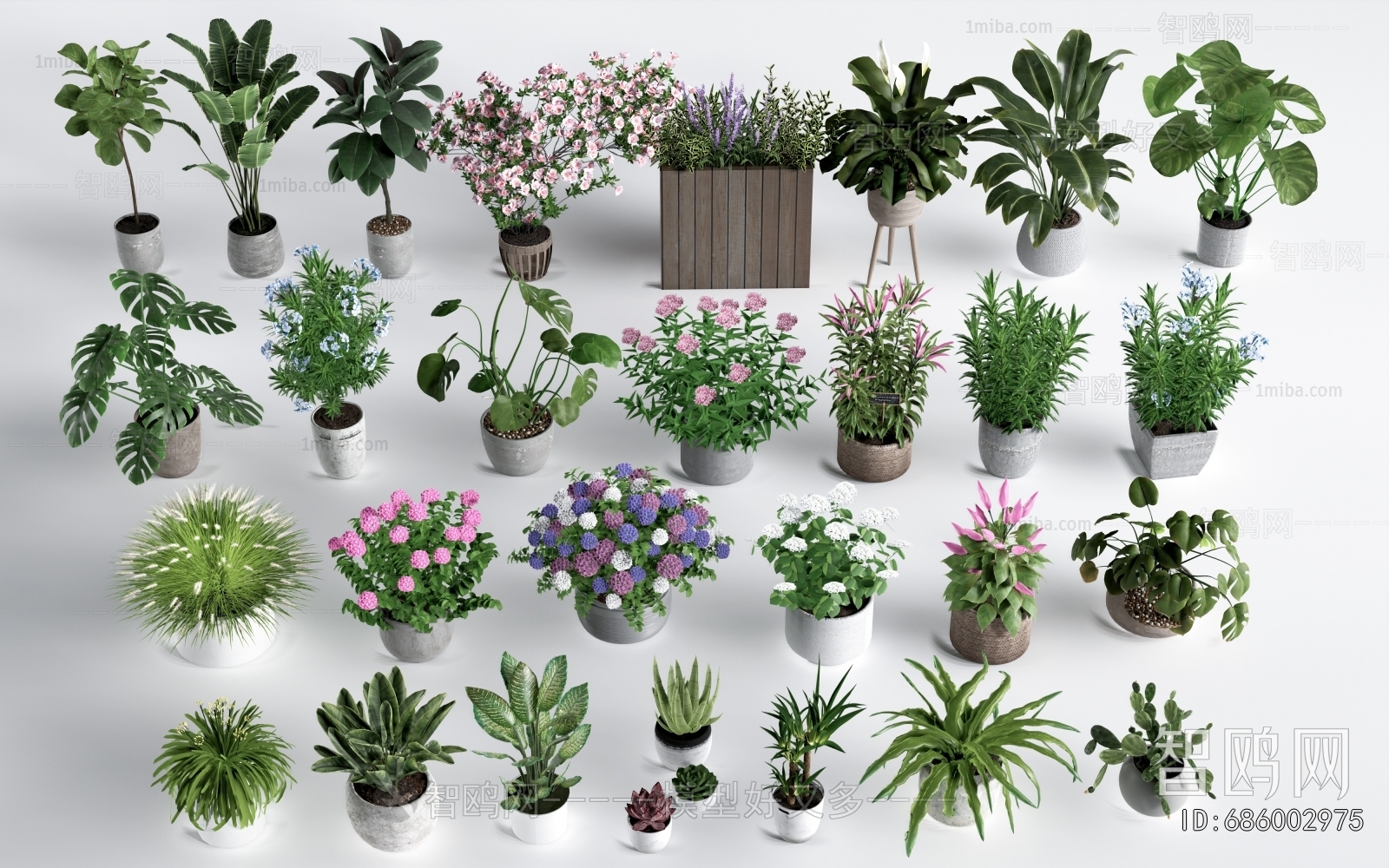 Modern Ground Green Plant Potted Plants