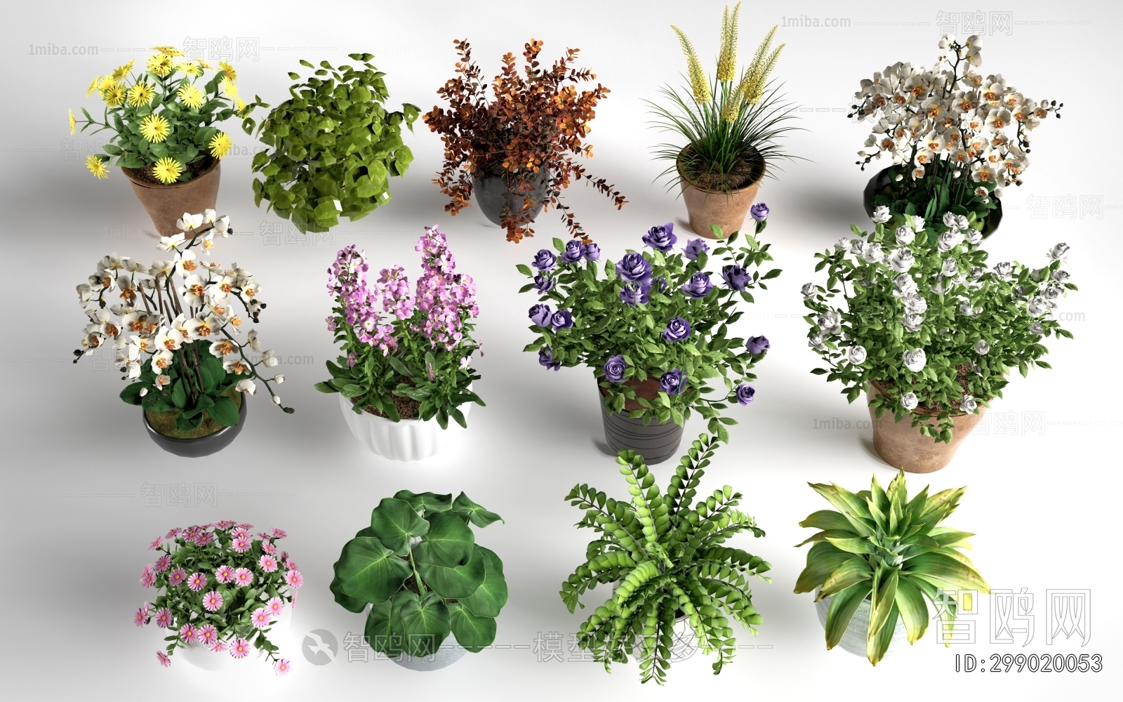 Modern Ground Green Plant Potted Plants