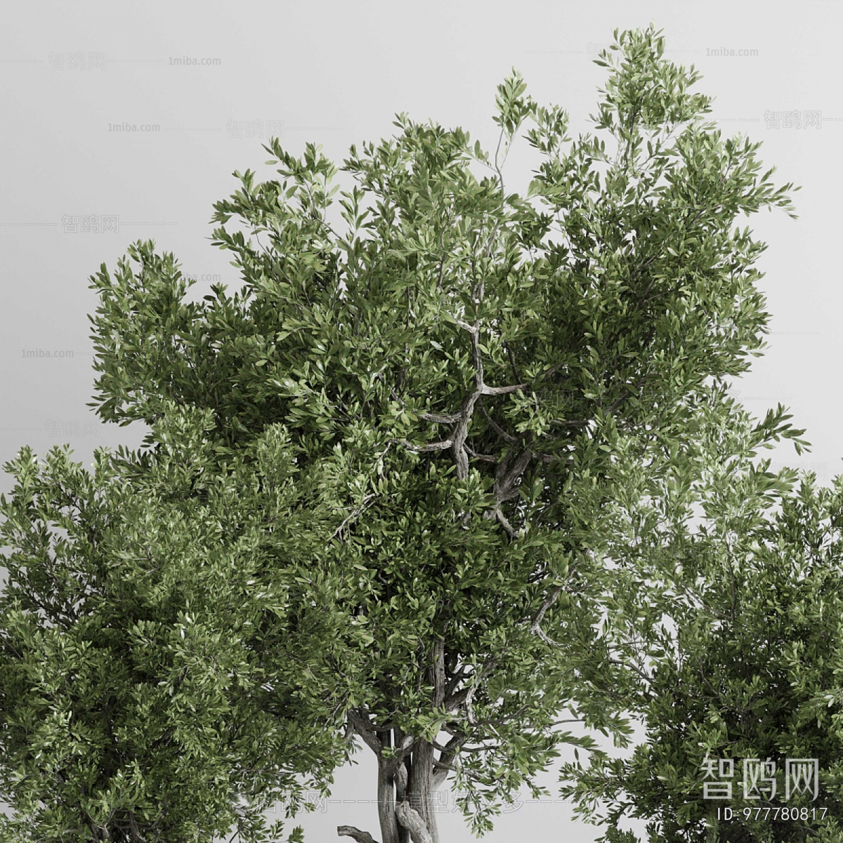 Modern Ground Green Plant Potted Plants