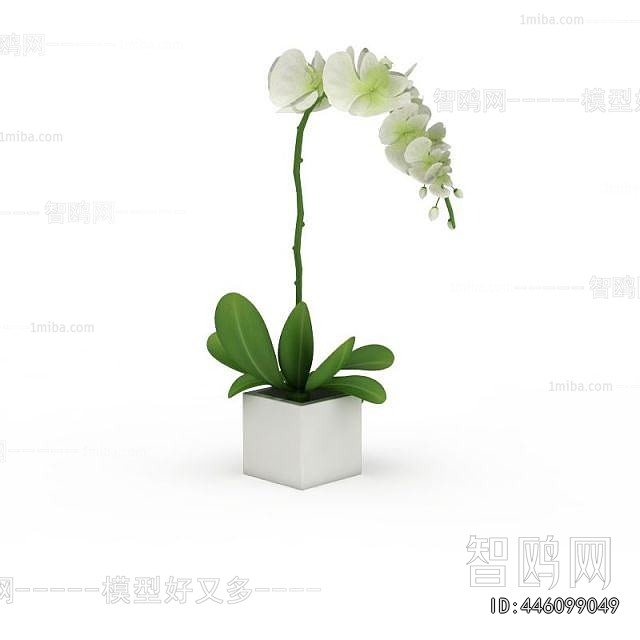 Modern Potted Green Plant