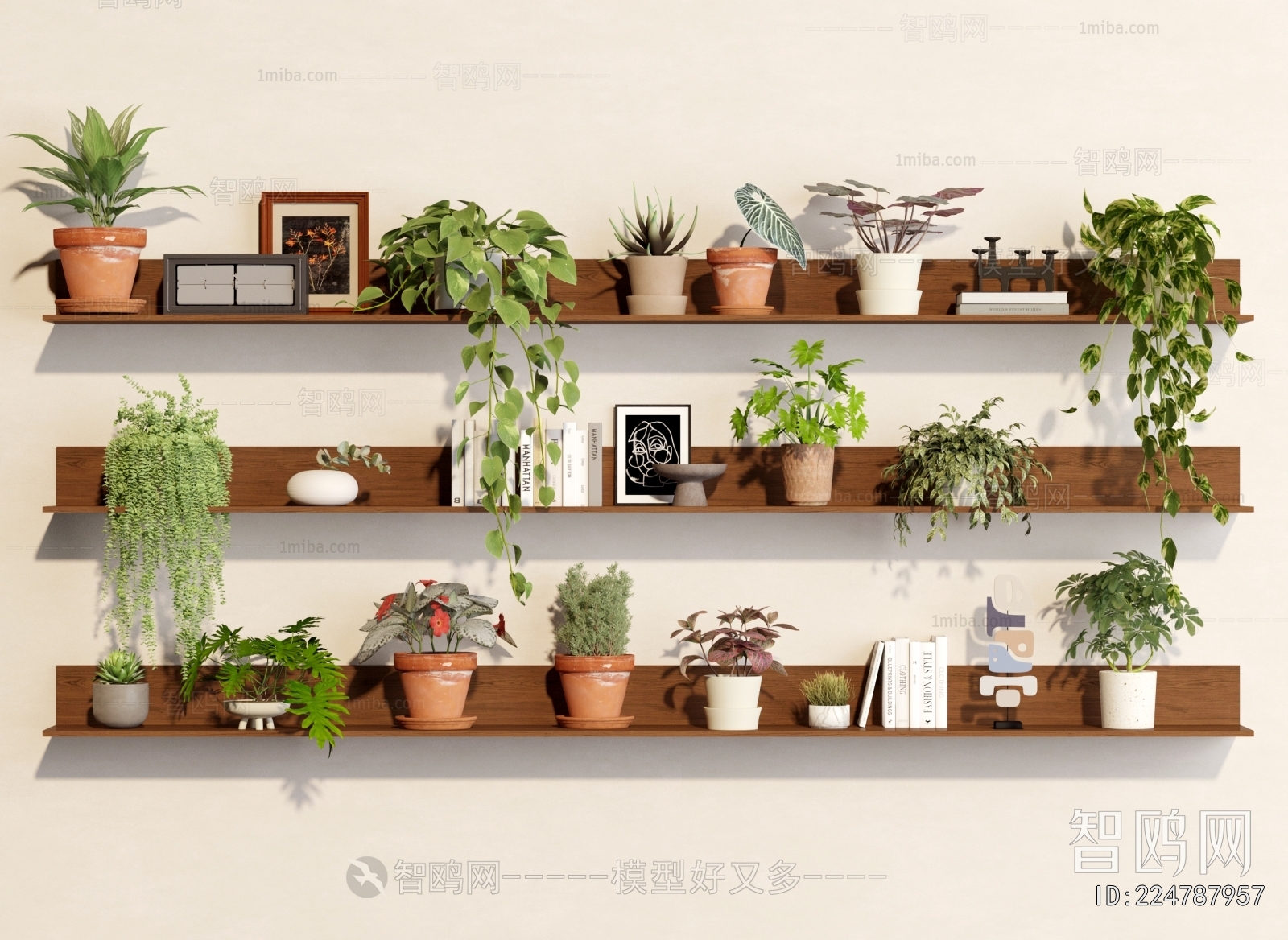 Modern Potted Green Plant