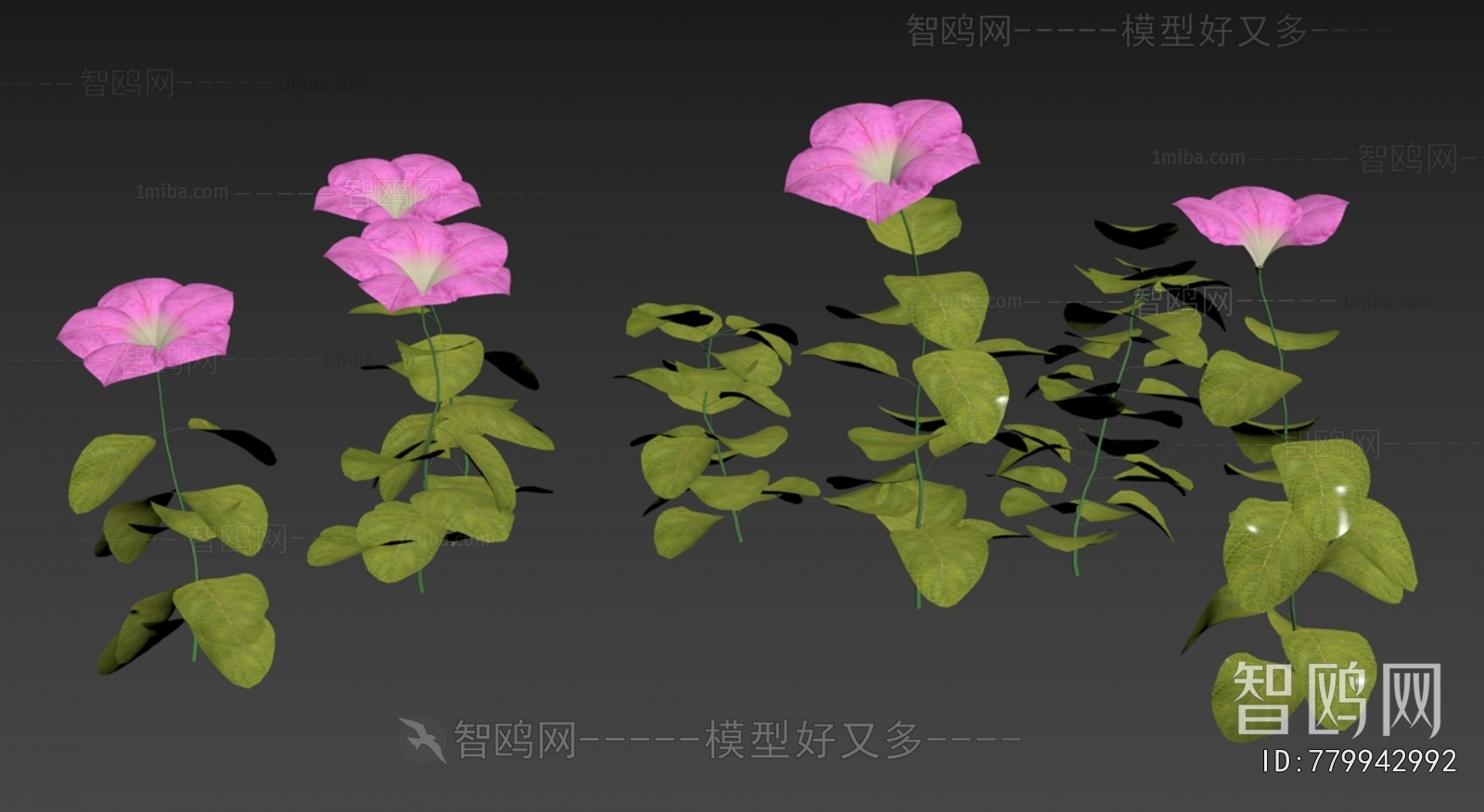 Modern Flowers And Grass