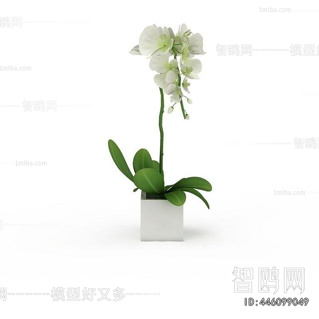 Modern Potted Green Plant