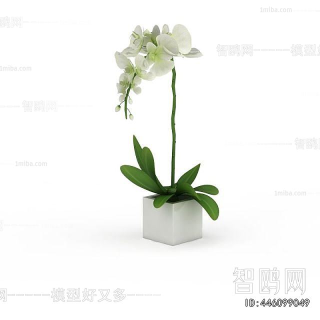 Modern Potted Green Plant