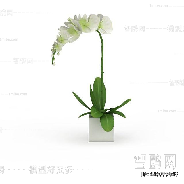 Modern Potted Green Plant