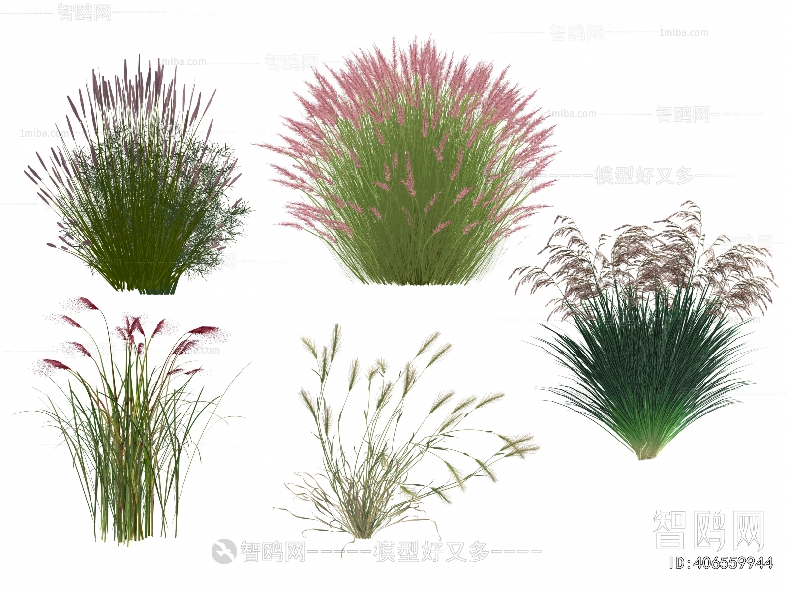 Modern Flowers And Grass