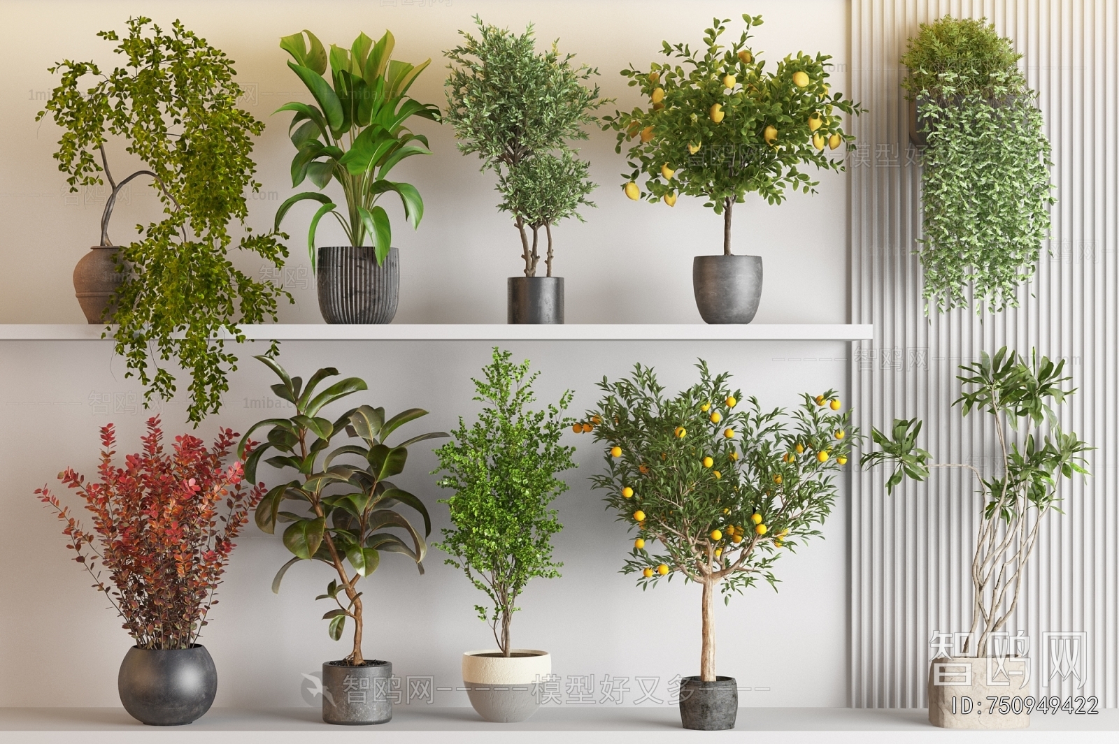 Modern Ground Green Plant Potted Plants