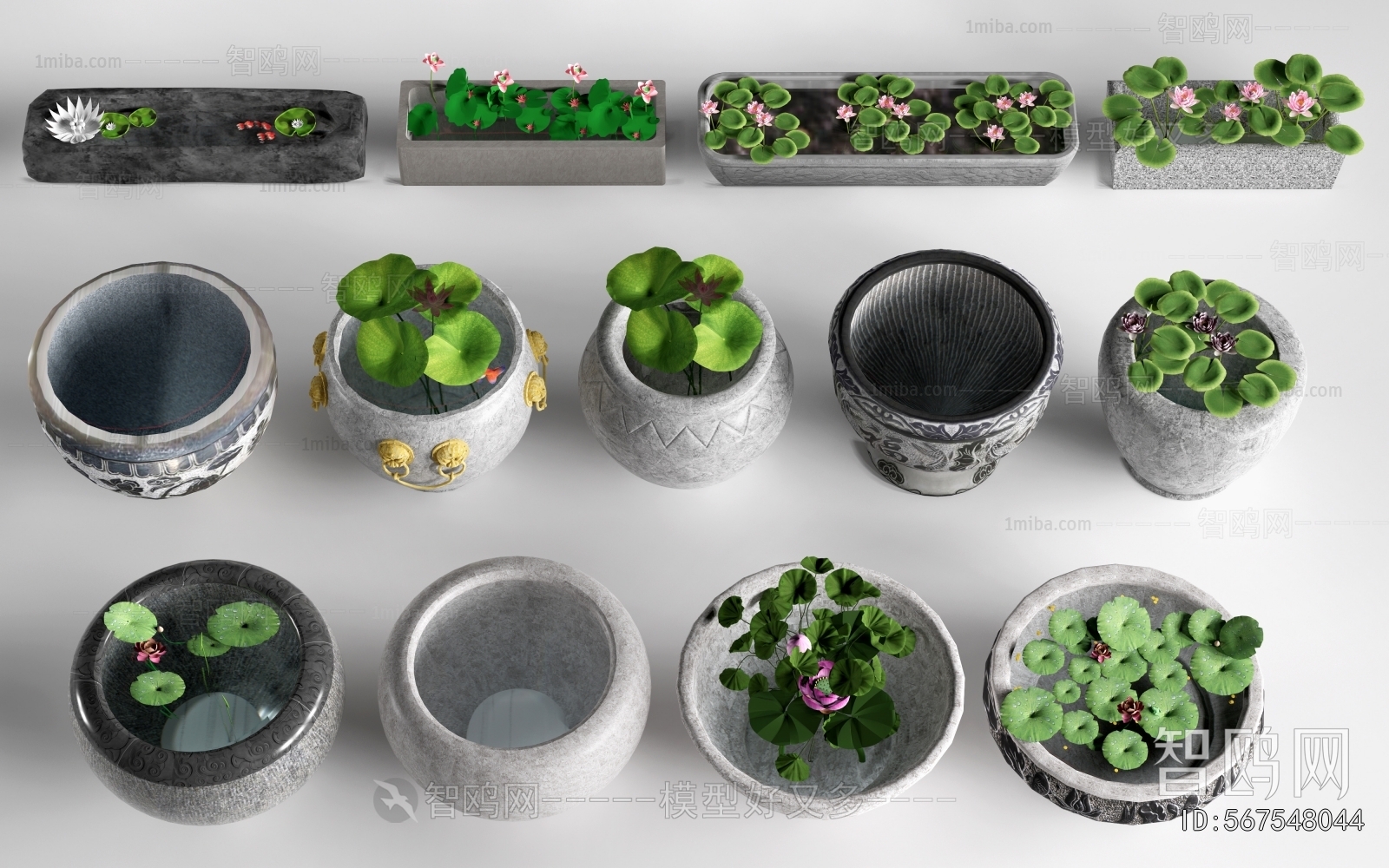 Chinese Style Garden