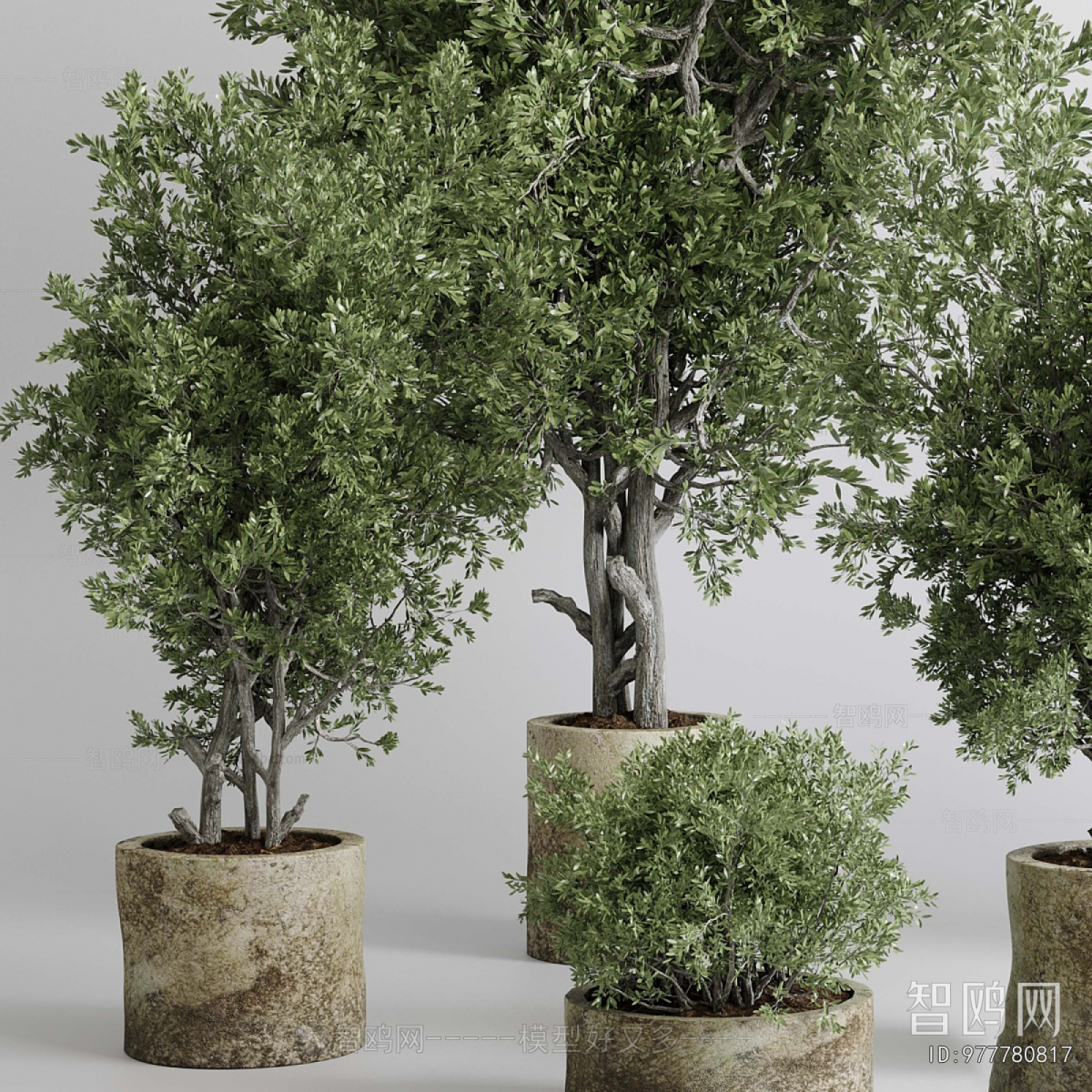 Modern Ground Green Plant Potted Plants