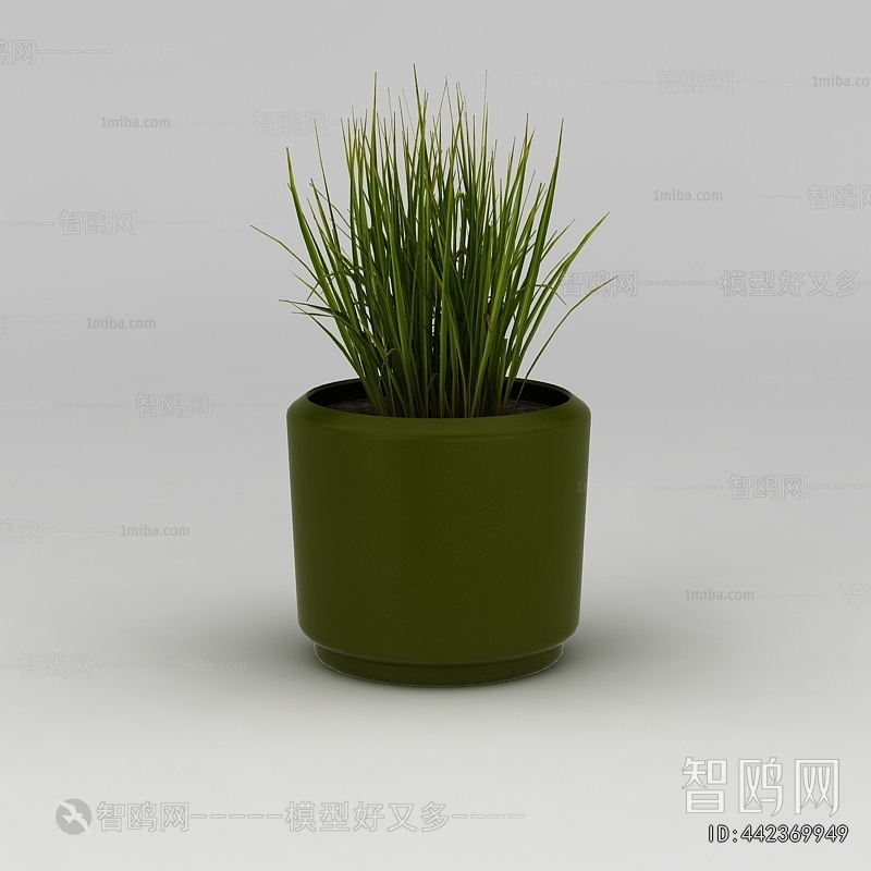 Modern Potted Green Plant