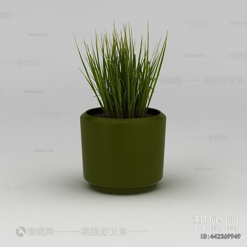 Modern Potted Green Plant