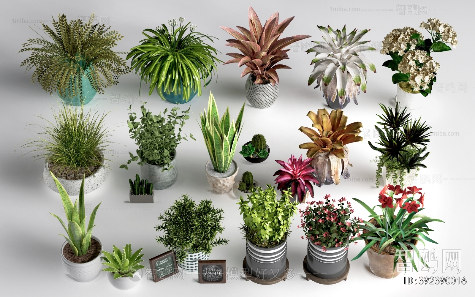 Modern Ground Green Plant Potted Plants