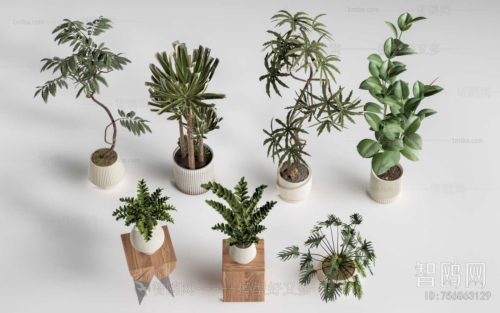 Modern Ground Green Plant Potted Plants