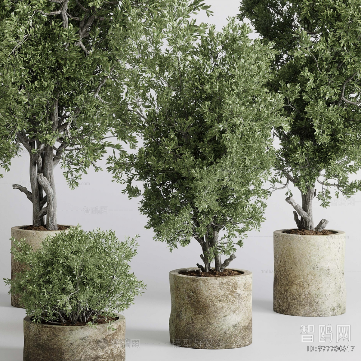 Modern Ground Green Plant Potted Plants