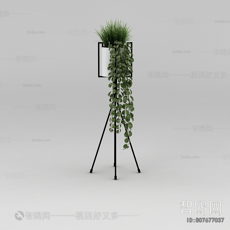 Modern Potted Green Plant