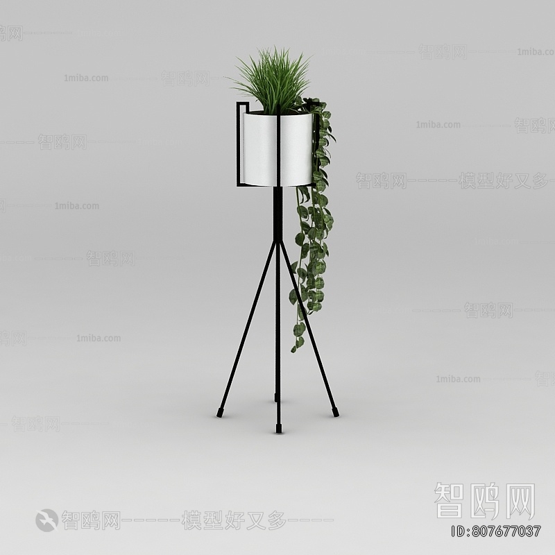 Modern Potted Green Plant