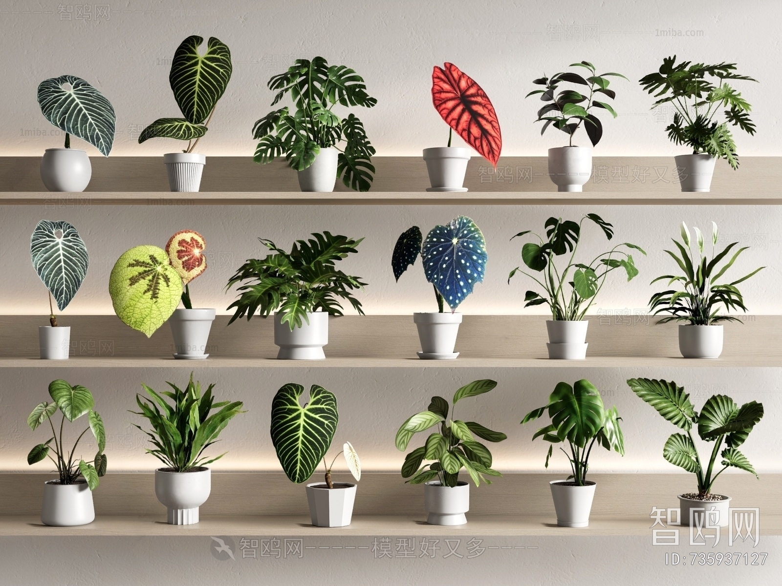 Modern Desktop Plant