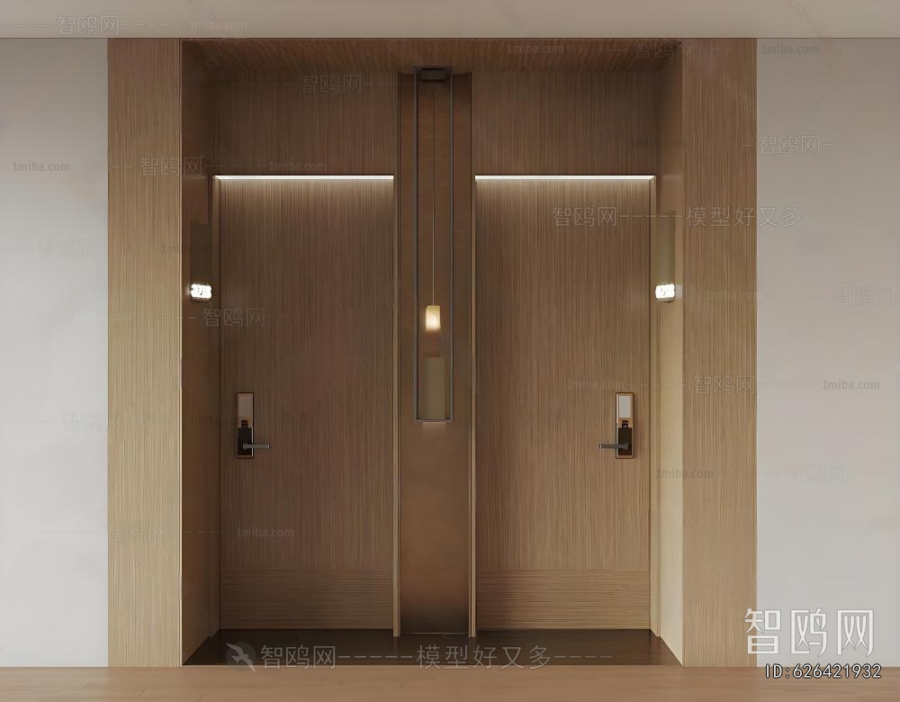 Modern Entrance Door