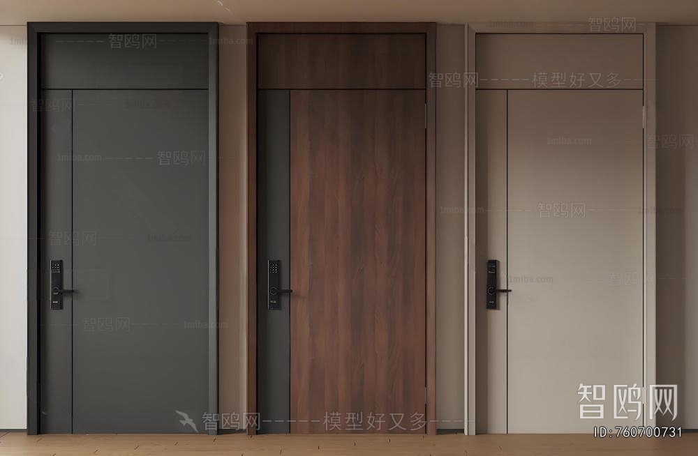 Modern Entrance Door