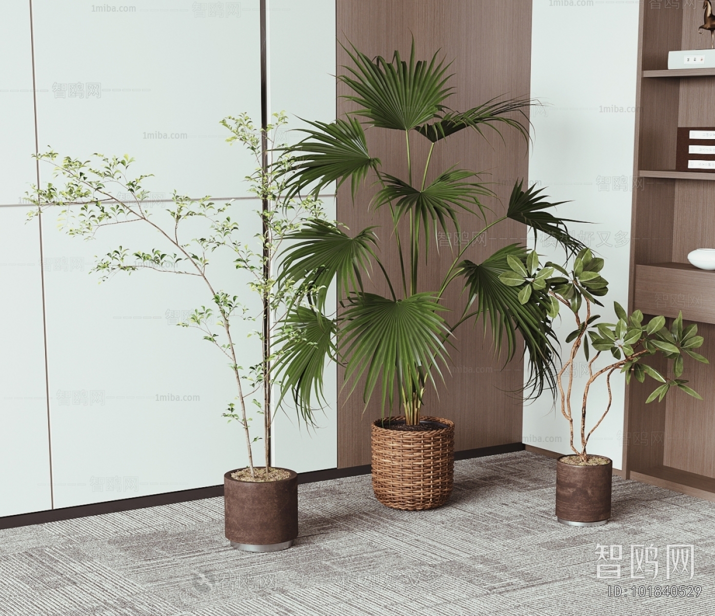 Modern Ground Green Plant Potted Plants